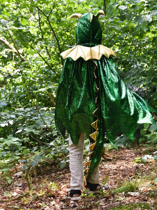 DINO CAPE COSTUME 