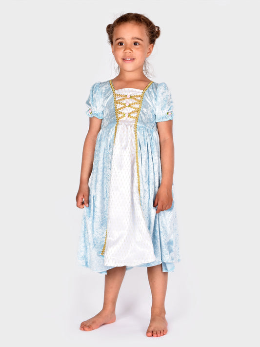 BLUE PRINCESS COSTUME